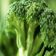 Brocoli