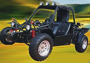 Buggy 650 cc ref:0006