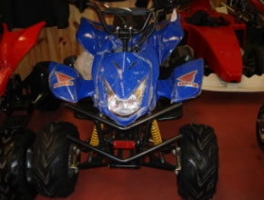 mini quad polaris 110 ref:0045