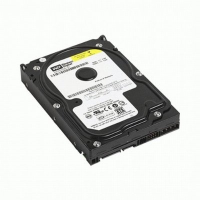 Western Digital Caviar Blue 320 GB